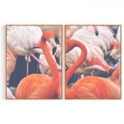 Quadro Decorativo Flamingos II - 2 Telas Comercial Ramos