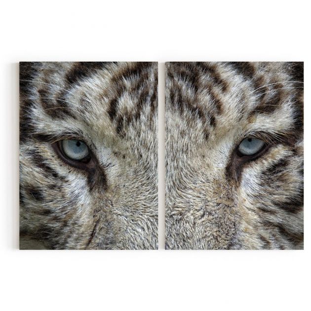 Quadro Decorativo Tigre Branco - 2 Telas Comercial Ramos